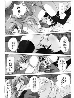 (C71) [スタジオ・ワラビー (たくじ)] 小悪魔PINK (ゼロの使い魔)_012