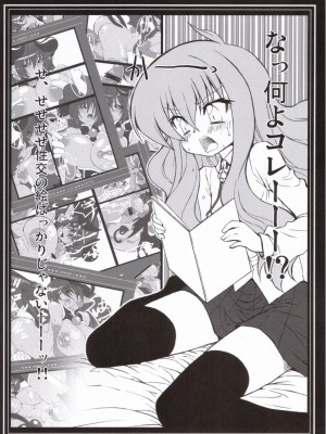 (C71) [CHIBIKKO KINGDOM (けこちゃ)] ゼロのつかいぬ (ゼロの使い魔)_003