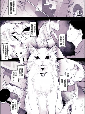 [ぽりうれたん] ねこ [葱鱼个人汉化] [無修正]