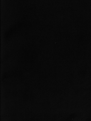 (コミティア144) [ウノハナクダシ (いつき)] ホワイトアウト [逃亡者×真不可视汉化组]_03