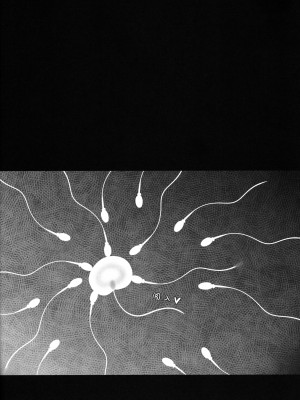 (C100) [ブルーシャッチー (星空ミコト)] 催眠スク水こずえっち (アイドルマスターシンデレラガールズ) [中国翻訳]_23