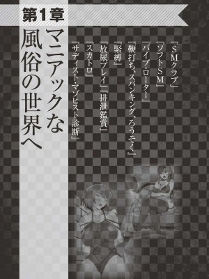 [よろず] アブノーマル風俗入門 ～ラブドール風俗から、1000万円の風俗嬢まで～_0010