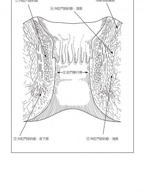 [鳥山仁、bee] 本当に正しいセックス 覚醒編 [DL版]_0159