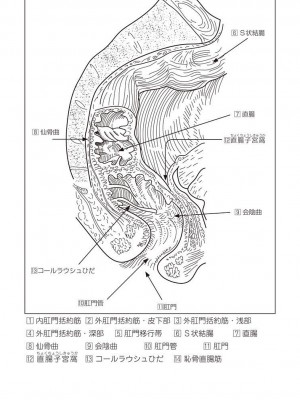 [鳥山仁、bee] 本当に正しいセックス 覚醒編 [DL版]_0160