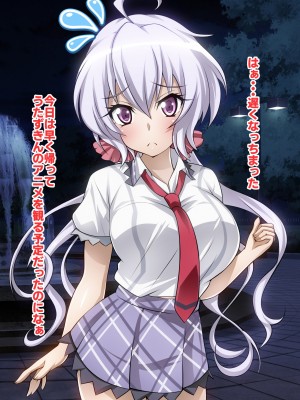 [ファンタスティック☆猫侍]戦姫絶頂シンフォギア3H_032