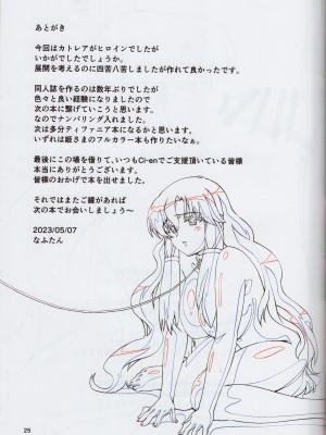 (COMIC1☆22) [ももしば杏子 (なふたん)] 帰宅寸前その① (ゼロの使い魔)_25