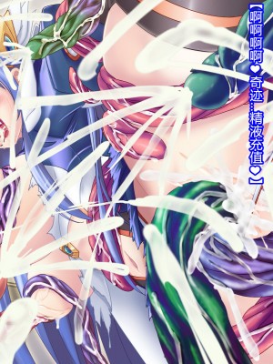 [悪魔都市計画 (あくまっこ、トシぞー)] 白鳥剣姫ホーリースワン 寝取られ活動日誌 [村长个人汉化]_214