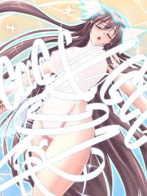 [悪魔都市計画 (あくまっこ、トシぞー)] 白鳥剣姫ホーリースワン 寝取られ活動日誌 [村长个人汉化]_031