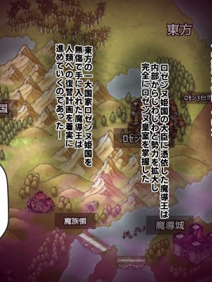 [フシギ堂] 洗脳堕ちした皇女様-ドスケベW皇女編-PART1 寝取られドマゾ化させられて将来を棒に振った勇者候補の少年_017