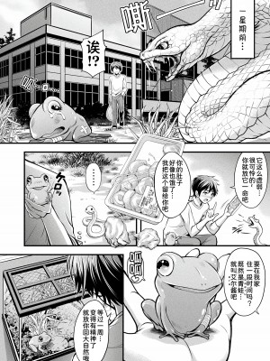 [伊藤屋] ハープタイルガールズ 前編 (コミックアンリアル 2022年6月号 Vol.97) [甜族星人x我不看本子汉化]&nbsp;&nbsp;[DL版]_03