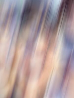 [サークル尾髭丹 (尾髭丹)] 夏どぴゅっ2〜いつでも排卵日着床200％女子たち〜_0740