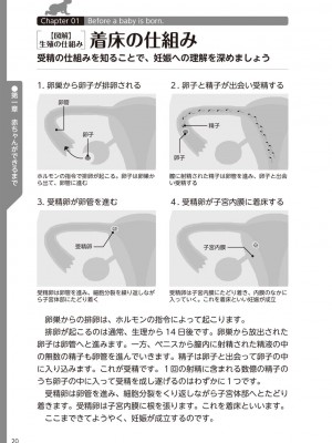 (成年コミック) [雑誌] やらなくてもまんがで解る性交と妊娠 赤ちゃんのつくり方_022