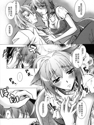[ぱふぇ] SisLove [中国翻訳]_132