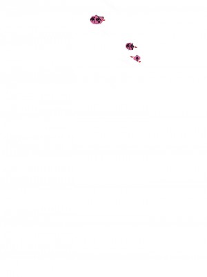 [ERO404 & Yoan & Oh gok Jeon do sa] Milf Hunting in Another World (1-12) [asas78自己随便翻的]_037