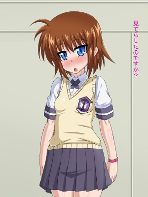 (同人CG集) [HINJYAKU] 気になっていた女の子が、いつのまにかキモブタ男のオチ○レ鰍ﾉ作り変えられていた・・・ ～穢され堕とされていく王と臣下～ (魔法少女リリカルなのはINNOCENT)_0602_598