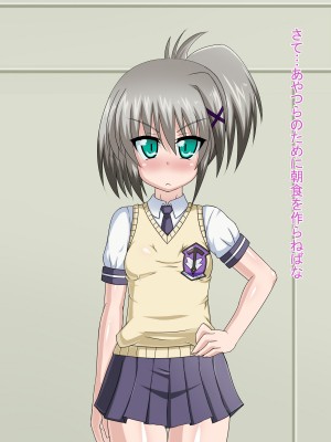(同人CG集) [HINJYAKU] 気になっていた女の子が、いつのまにかキモブタ男のオチ○レ鰍ﾉ作り変えられていた・・・ ～穢され堕とされていく王と臣下～ (魔法少女リリカルなのはINNOCENT)_0846_856