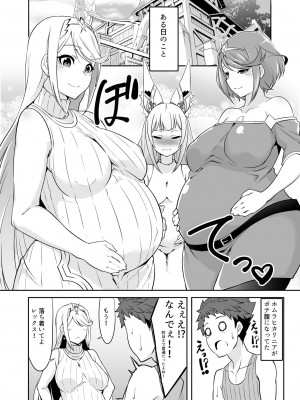 [白い闇 (K-you)] ファミリープロジェクトX (ゼノブレイド2) [DL版]_04