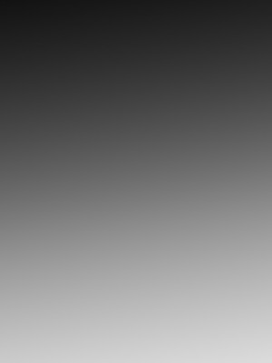 [ほるもんカレー (鳶村)] 私たちの生徒会長がスケベなはずありません!! (ブルーアーカイブ) [DL版]_29