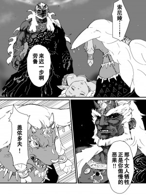 [ごまブラザーズ (ごまぶら)] TEARS OF THE DICK (ゼルダの伝説 ティアーズ オブ ザ キングダム) [Axun个人汉化] [DL版]_02