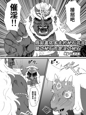 [ごまブラザーズ (ごまぶら)] TEARS OF THE DICK (ゼルダの伝説 ティアーズ オブ ザ キングダム) [Axun个人汉化] [DL版]_03