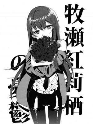 (CHAOS;GATE) [世界平均律 (udk)] Wish a upon star (シュタインズゲート)_018