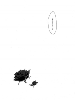 (CHAOS;GATE) [世界平均律 (udk)] Wish a upon star (シュタインズゲート)_024