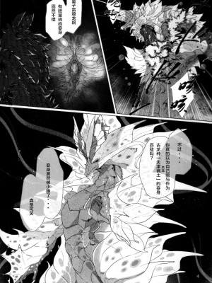 (関西!けもケット7) [DE？ (片桐マヤ)] 小夜嵐 (モンスターハンター) [ZX个人汉化]_04