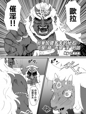 [ごまブラザーズ (ごまぶら)] TEARS OF THE DICK (ゼルダの伝説 ティアーズ オブ ザ キングダム) [瑞树汉化组] [DL版]_04