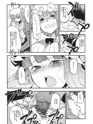 (C80) [白ネギ屋 (miya9)] ワイセツ図書館 (東方Project)_011