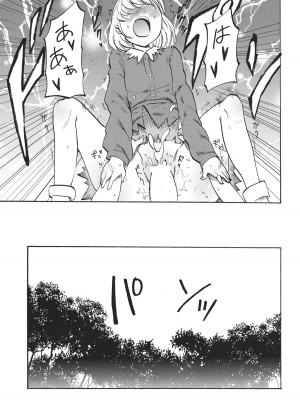 (C85) [白ネギ屋 (miya9)] 落ち葉の行方 (東方Project)_016