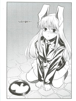 (例大祭9) [白ネギ屋 (miya9)] -udongein- (東方Project)_004