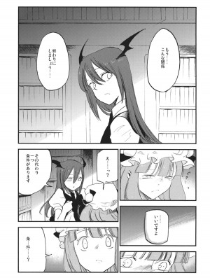 (例大祭10) [白ネギ屋 (miya9)] 曇天ライブラリー (東方Project)_006