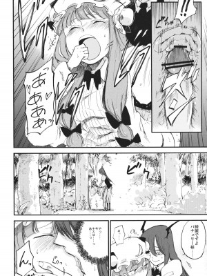 (例大祭10) [白ネギ屋 (miya9)] 曇天ライブラリー (東方Project)_019