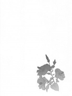 (COMIC1 BS祭 スペシャル) [白ネギ屋 (miya9)] 博士の夜の助手。 総集編 (ポケットモンスター サン・ムーン)_025