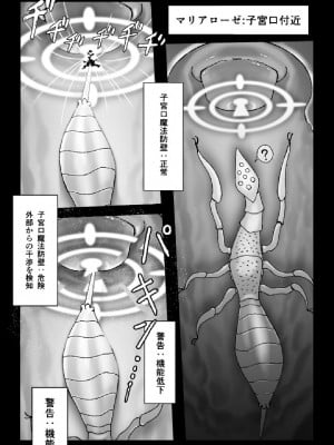 [火と身 (第九遺物オレンジ)] 魔女が触手と蟲に寄生されて子宮と人生をめちゃくちゃにされる話_05