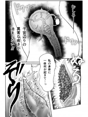 [火と身 (第九遺物オレンジ)] 魔女が触手と蟲に寄生されて子宮と人生をめちゃくちゃにされる話_13