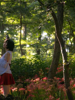 セット特典艦これjunk_012