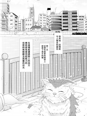 (例大祭16) [ふらふらトキシン (荒野沖)] 初恋菫子 (東方Project) [中国翻訳]_04