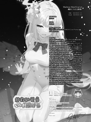 [かわいそうなのは抜ける (ヌケル)] Malleus Maleficarum -魔女に与える鉄槌- [DL版]_18