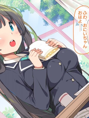 (同人CG集) [ラブリテス (きびぃもか)] 四六時中俺のチンポにハメられ孕むまで中出しされることを妄想する変態に育ってしまったいもうと達の正しい躾け方_0069