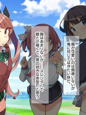 (同人CG集) [ラブリテス (きびぃもか)] 四六時中俺のチンポにハメられ孕むまで中出しされることを妄想する変態に育ってしまったいもうと達の正しい躾け方_0313