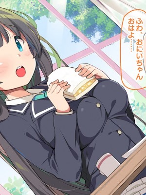 (同人CG集) [ラブリテス (きびぃもか)] 四六時中俺のチンポにハメられ孕むまで中出しされることを妄想する変態に育ってしまったいもうと達の正しい躾け方_0377