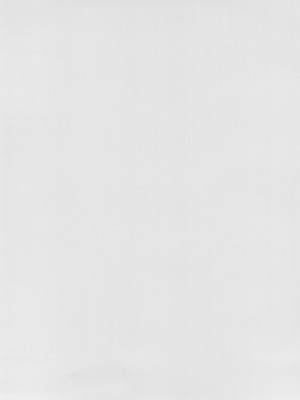 (C100) [虎子屋 (熊虎たつみ)] 三蔵ちゃんとすけべする本 (Fate／Grand Order)_04