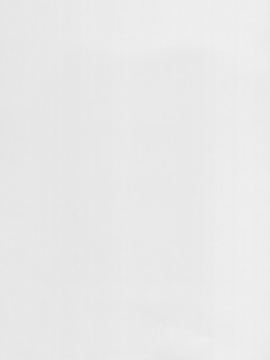 (C100) [虎子屋 (熊虎たつみ)] 三蔵ちゃんとすけべする本 (Fate／Grand Order)_03