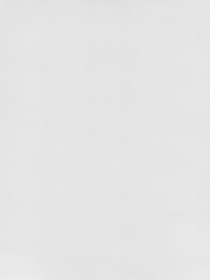 (C100) [虎子屋 (熊虎たつみ)] 三蔵ちゃんとすけべする本 (Fate／Grand Order)_30