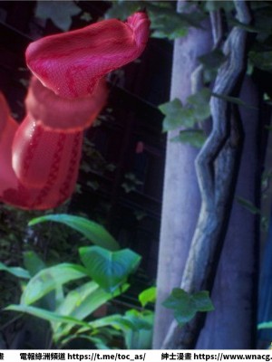 [BB君]奴隸契約之女神戰士 1-36 4SP_[TOC]-29-003