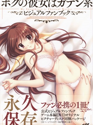 [エルフ] ボクの彼女はガテン系 ビジュアルファンブック