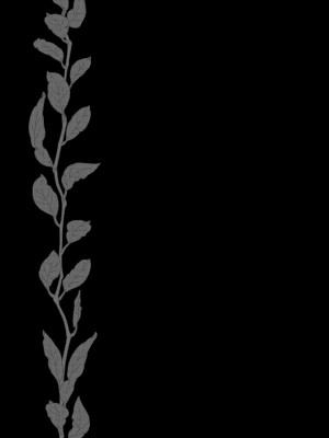 [手つかずの青。 (えみりお)] 女体化した俺は、叔父さんに…_02