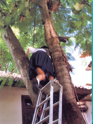 Chinatsu Ito_ks_chit1078