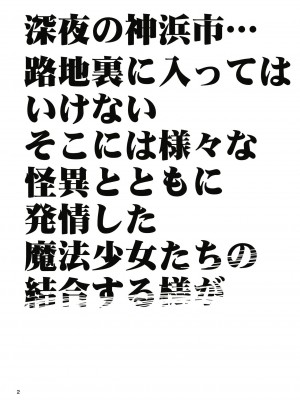 [かたまり屋 (しなま)] 路地裏の淫魔たち (マギアレコード 魔法少女まどか☆マギカ外伝) [DL版]_03
